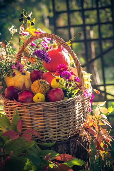 Season in the garden: a basket with fruit gifts of autumn
