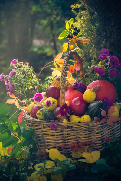 Temporada Jardín Una Canasta Con Regalos Frutas Otoño Imagen De Stock