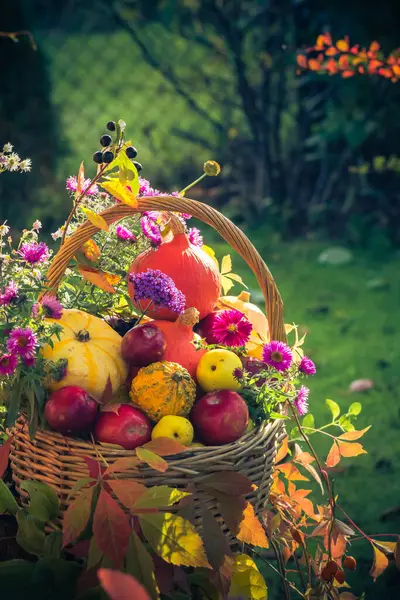 Bir Sepet Meyve Bahçe Sonbaharda - Stok İmaj