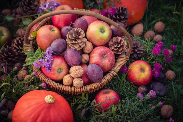 Koš Podzimním Ovocem Shora Stock Snímky