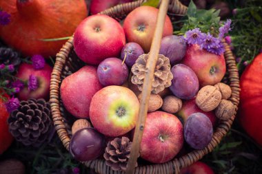Sonbahar meyveleriyle dolu bir sepet.