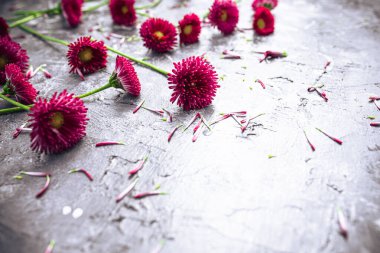 Resmin arka planında bahar çiçekleri olan soyut sanat arkaplanı