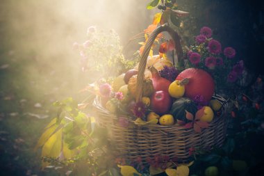 Bir sepet meyve mistik bir ışık sonbahar bahçesinde dolu