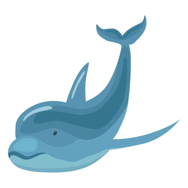 Dolphin Cartoon Character Ocean Mammal Motion Vector Illustration Sea Life — стоковый вектор