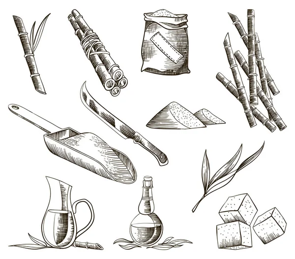 杖砂糖 サトウキビ工場からの製品のセット 手描きの天然有機食品や天然成分を彫刻 新鮮なサトウキビをガラスに入れ 砂糖をヒープとキューブに入れ 竹とラム — ストックベクタ