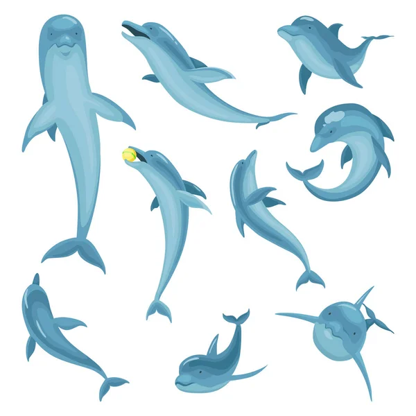 海豚卡通人物设置在白色孤立 不同姿势的海洋生物 蓝鱼或野生动物的病媒图解 海洋哺乳动物在运动 — 图库矢量图片