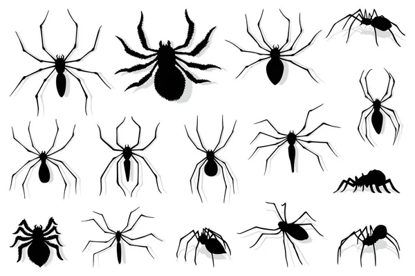 Spindelns Silhuettsamling Svart Närbild Insekt Skrämmande Stor Spindel Isolerad Vitt — Stock vektor