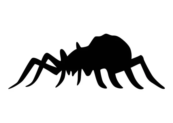 Örümcek Silueti Siyah Yakın Çekim Böceği Beyazda Izole Edilmiş Korkunç — Stok Vektör