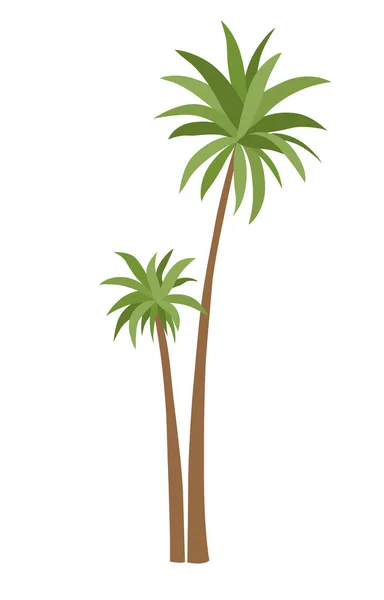 Palm Tree Green Leaves Top Trunk Exotic Fruitful Tree Vector — Vetor de Stock