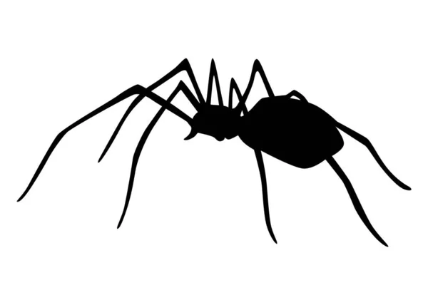 Örümcek Silueti Siyah Yakın Çekim Böceği Beyazda Izole Edilmiş Korkunç — Stok Vektör