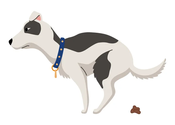 Собака Прибирає Песо Один Крок Інфографіки Векторний Плакат Про Гігієну — стоковий вектор