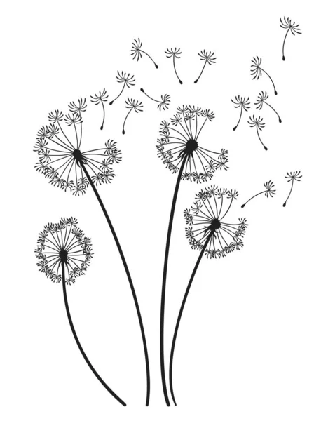 Dandelion wind blow background. Black silhouette with flying dandelion buds on white. Abstract flying seeds. Decorative graphics for printing. Floral scene design.