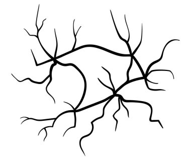 Ground cracks, breaks on land surface from earthquake isolated on white background. Vector realistic fissure, crevices from disaster or drought, black fractures top view.