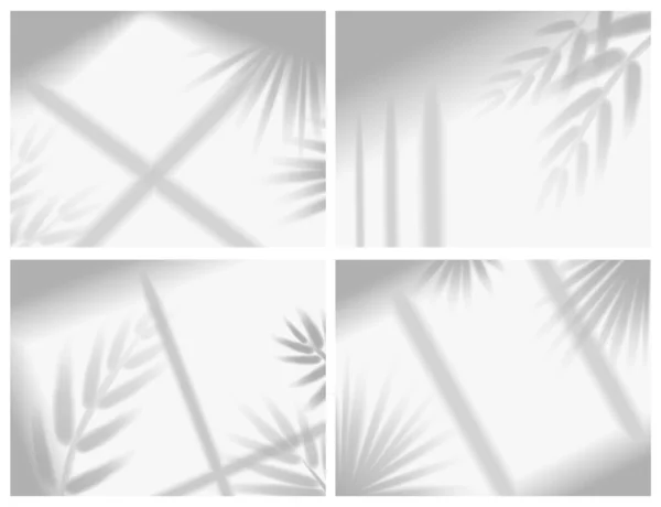影子模型 热带植物枝条 棕榈树叶在室内墙壁 天花板或地板上的阳光覆盖效果 现实的背景 矢量图集 — 图库矢量图片