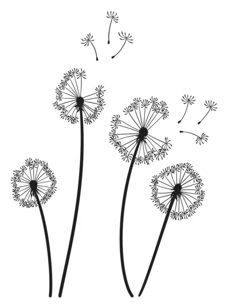 Dandelion Wind Blow Background Black Silhouette Flying Dandelion Buds White — Stock Vector