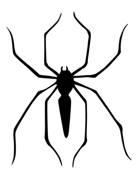 Spinnensilhouet Zwarte Close Insect Enge Grote Spin Geïsoleerd Wit Giftig — Stockvector