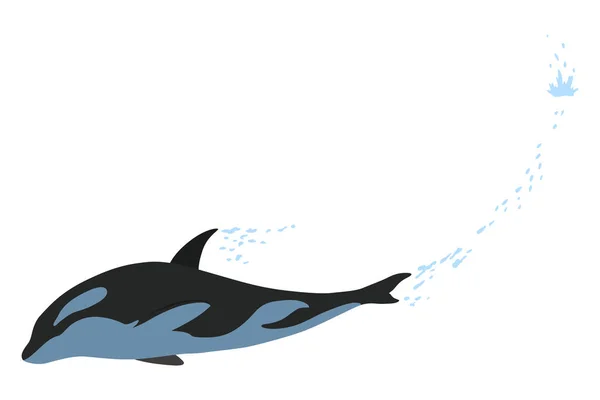 Animazione Orca Acqua Disegno Animale Del Fumetto Oceano Mammifero Orca — Vettoriale Stock