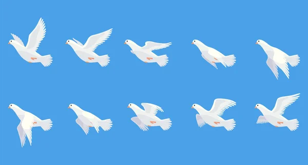 ピジョン アニメーション 天国での鳥の動きの翼 飛行渡り鳥鳩 漫画のベクトルイラスト 鳥はアニメーション要素を鳩 白い鳩の飛行シーケンス — ストックベクタ