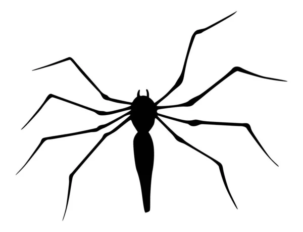Spinnensilhouet Zwarte Close Insect Enge Grote Spin Geïsoleerd Wit Giftig — Stockvector