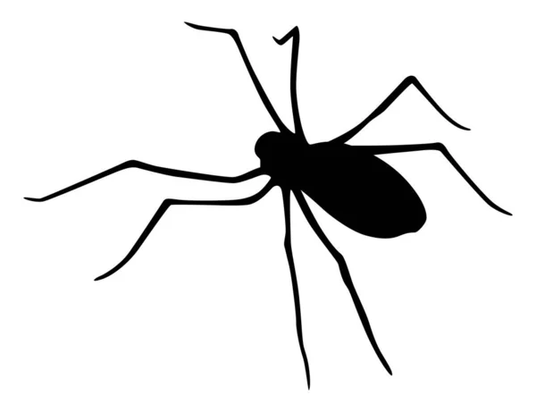 Spindelsiluett Svart Närbild Insekt Skrämmande Stor Spindel Isolerad Vitt Giftiga — Stock vektor