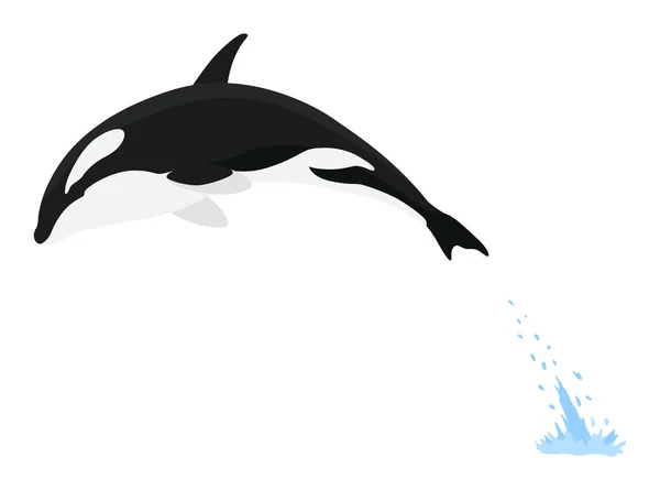 Animation Orca Dans Eau Design Animal Dessin Animé Orque Mammifère — Image vectorielle