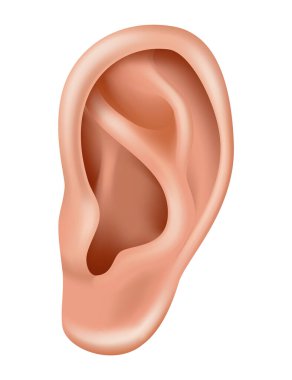 Hearing aid. Patients with hearing loss. Medicine and health. Realistic ear. Treatment and prosthetics in otolaryngology. clipart