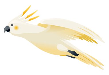 Papağan animasyonu. Egzotik, tapılası, karakter uçuşu. Beyaz sülfür kakadu. Canlandırılmış tropikal kuş uçuşu.