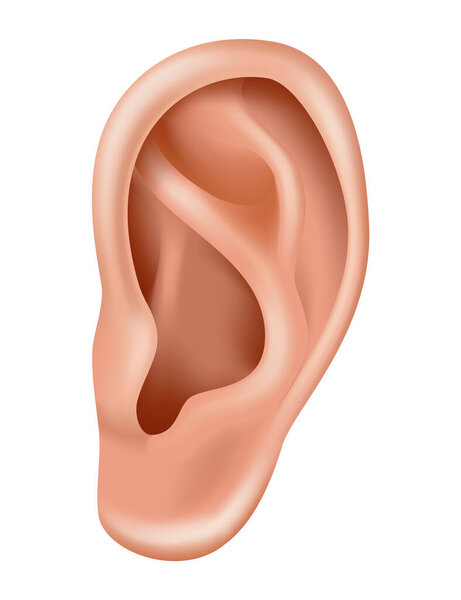 Hearing aid. Patients with hearing loss. Medicine and health. Realistic ear. Treatment and prosthetics in otolaryngology.