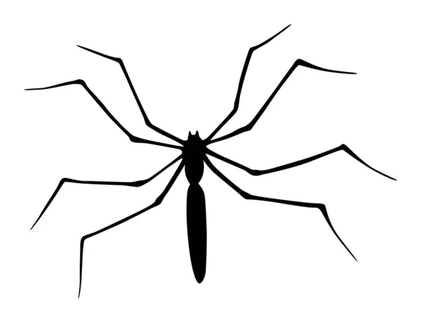 Spinnensilhouette Schwarzes Großaufnahme Insekt Beängstigend Große Spinne Isoliert Auf Weiß — Stockvektor