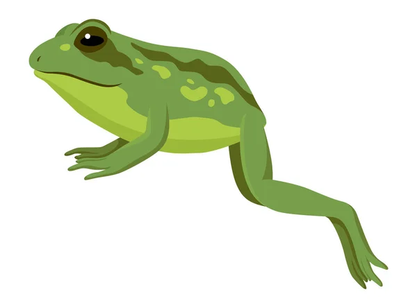 Frog Άλμα Εικονίδιο Animation Ακολουθίες Πλάνα Για Σχεδιασμό Κίνησης Κινούμενα — Διανυσματικό Αρχείο