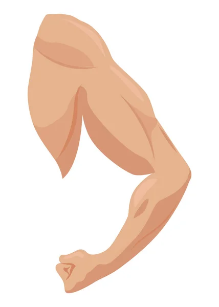 Męskie Ikony Mięśni Biceps Zestaw Ramię Sportowca Silnymi Bicepsami Wektorowy — Wektor stockowy