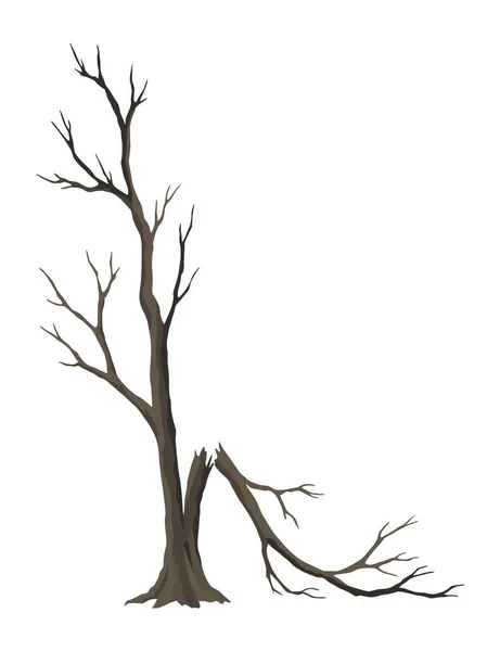 Yaşlı Ölü Ağaç Kaba Ürkütücü Ağaç Kabuğu Kuru Çıplak Dal — Stok Vektör