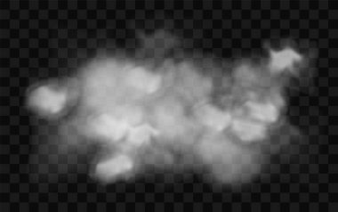 Duman bulutu. Şeffaf sis etkisi. Beyaz vektör bulanıklığı, sis veya sis arkaplanı. Vektör illüstrasyonu şeffaf özel efekt.