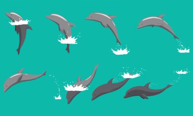 Yunus su animasyonundan fırlıyor. Yunusların okyanusta akrobatik bir atlayışı canlandırması. Deniz yaşamı ve yaz tatili tasarımları için harika..