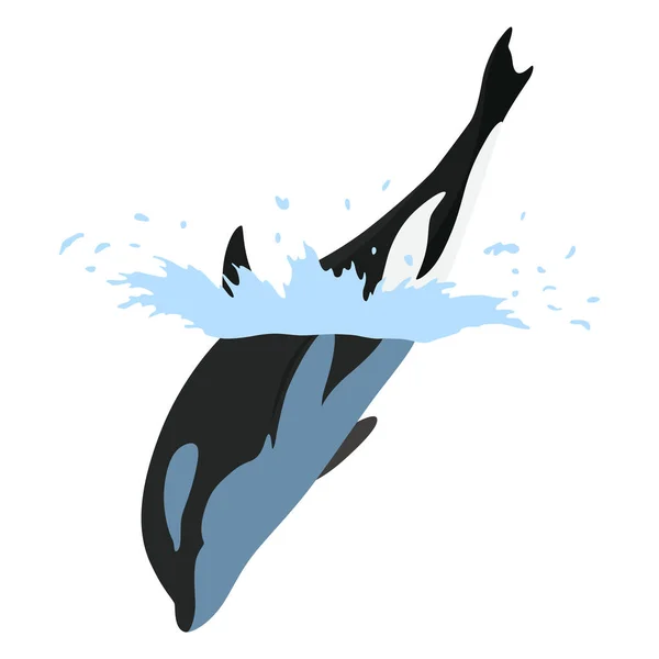 水中でのオルカアニメーション 漫画動物デザイン 白い背景に孤立した海洋哺乳類のオルカ クジラキラージャンプ 捕食魚のイラスト — ストックベクタ