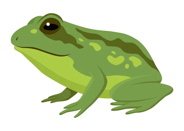 개구리 애니메이션 아이콘 움직임 디자인을 장면이나 장면이다 두꺼비 Frog Leap — 스톡 벡터