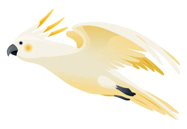 鹦鹉的动画 离奇可爱的动物性格飞行 白色硫磺烤鹦鹉 动感热带鸟类飞行 — 图库矢量图片
