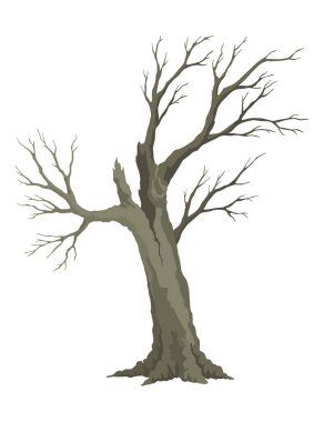 Yaşlı ölü ağaç, kaba, ürkütücü ağaç kabuğu, kuru, çıplak dal silueti. Korkunç orman, yapraksız gövde. Doğa ekolojisi sorunları kavramı. Kış ya da sonbahar bitkileri ikonu izole.