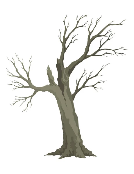 Yaşlı Ölü Ağaç Kaba Ürkütücü Ağaç Kabuğu Kuru Çıplak Dal — Stok Vektör