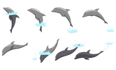 Yunus su animasyonundan fırlıyor. Yunusların okyanusta akrobatik bir atlayışı canlandırması. Deniz yaşamı ve yaz tatili tasarımları için harika..