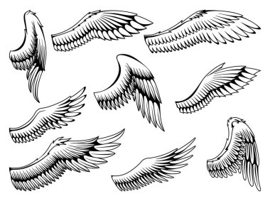 Wings eskiz koleksiyonu. Stilize kuş kanatları. Elle çizilmiş stiker kanadı açık pozisyonda. Renklendirme biçiminde vektör tasarımı ögeleri.