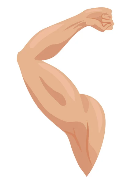 Ikony Mužských Bicepsů Nastaveny Sportovní Paže Silnými Bicepsy Vektorový Symbol — Stockový vektor