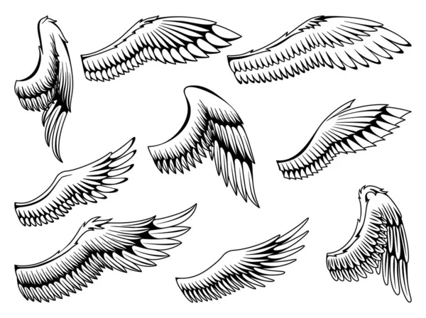 Wings eskiz koleksiyonu. Stilize kuş kanatları. Elle çizilmiş stiker kanadı açık pozisyonda. Renklendirme biçiminde vektör tasarımı ögeleri.