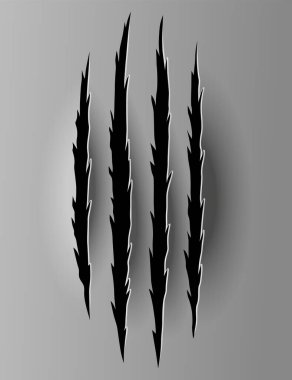 Ayı ya da Kaplan Pençesi izi. Çizikler ve yırtık vektör hayvan pençesi izleri. Yırtık kenarlı kağıt delikleri. Vektör illüstrasyonu.