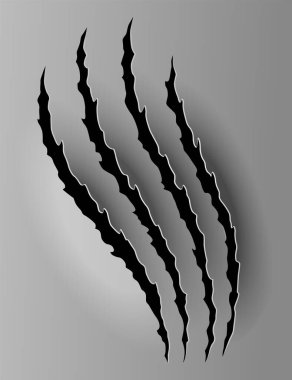 Ayı ya da Kaplan Pençesi izi. Çizikler ve yırtık vektör hayvan pençesi izleri. Yırtık kenarlı kağıt delikleri. Vektör illüstrasyonu.