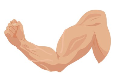 Erkek pazısı kas simgeleri ayarlandı. Güçlü pazıları olan sporcu kolu. Sağlıklı gücün vektör sembolü. Gergin kaslı atletik vücut beyaz arka planda elle izole edilmiş..