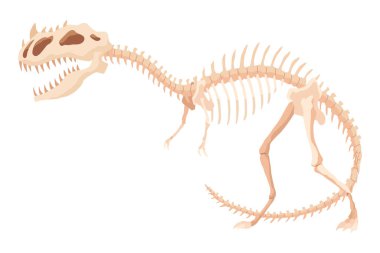 Dinozor iskeleti. Dino canavarları ikonu. Gerçek bir hayvanın şekli. Tarih öncesi sürüngenlerin çizimi. Vektör illüstrasyonu beyaza izole edildi. El çizimi çizim.