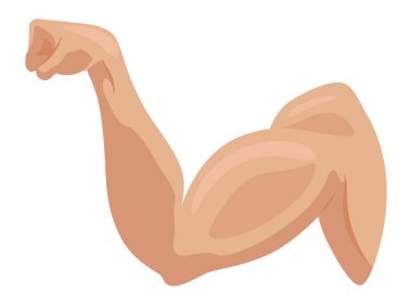 Erkek pazısı kas simgeleri ayarlandı. Güçlü pazıları olan sporcu kolu. Sağlıklı gücün vektör sembolü. Gergin kaslı atletik vücut beyaz arka planda elle izole edilmiş..