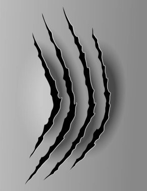 Ayı ya da Kaplan Pençesi izi. Çizikler ve yırtık vektör hayvan pençesi izleri. Yırtık kenarlı kağıt delikleri. Vektör illüstrasyonu.