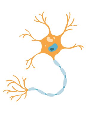 İnsan hücre tipi ikonu. Tıp ve biyoloji illüstrasyon sembolü. Sağlık, anatomi ve bilim. Biyoloji vektörü beyaz arkaplanda izole edildi.